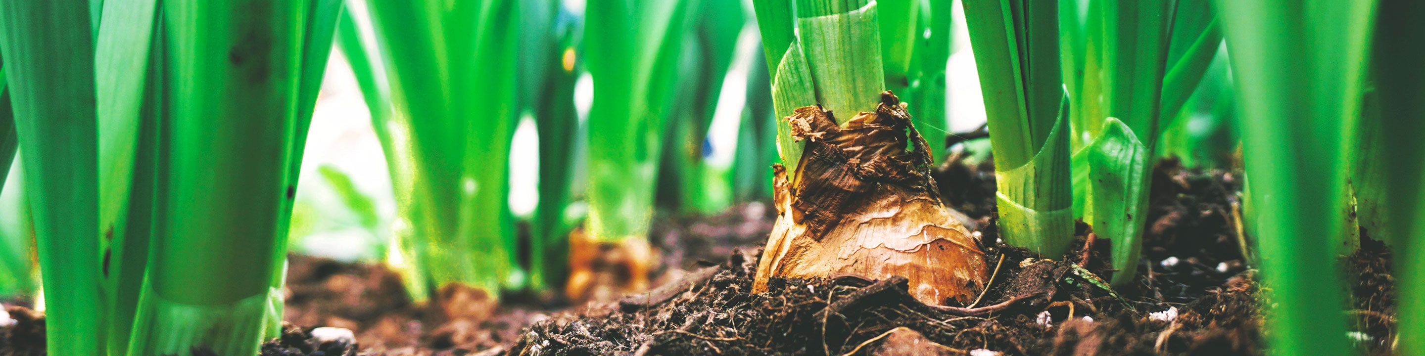 Engagement Carrefour biodiversité et bien-être animal