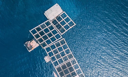 Aquaculture responsable Carrefour