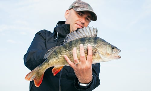 Soutien à la pêche locale Carrefour