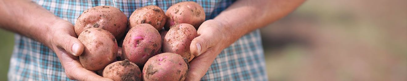 Engagement soutien aux producteurs