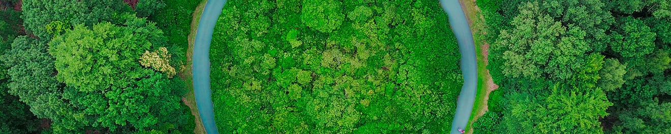 Respect de l'environnement