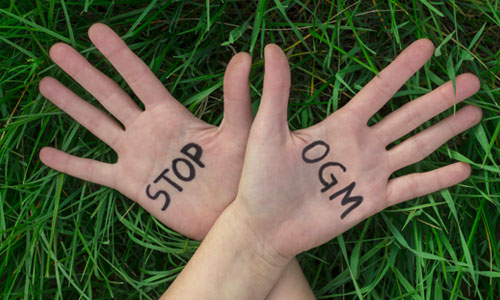 Pas d'utilisation d'OGM