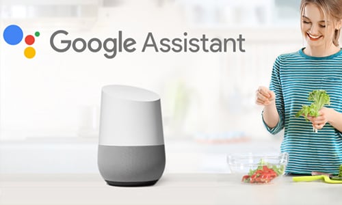 Carrefour Google Home