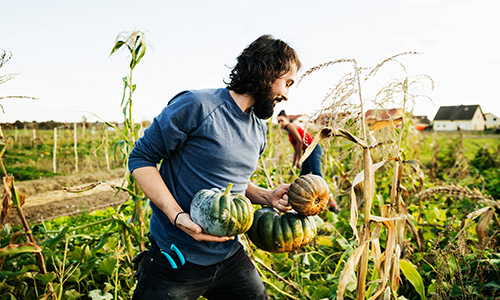 Devenir le partenaire référent du monde agricole