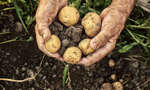 Un engagement concret pour la conversion au bio