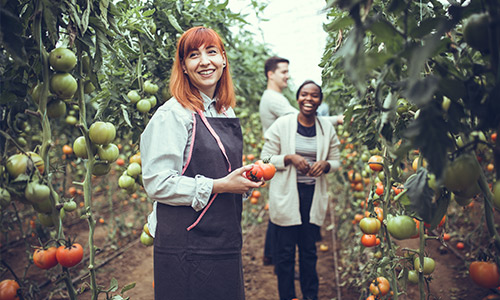 Développer l'agro-écologie