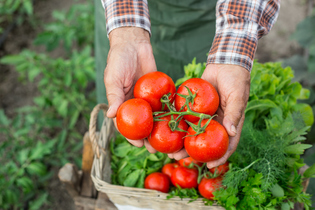 Proposer des produits frais, de qualité et de saison