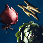 Acte 8 - Favoriser la biodiversité des fruits et légumes