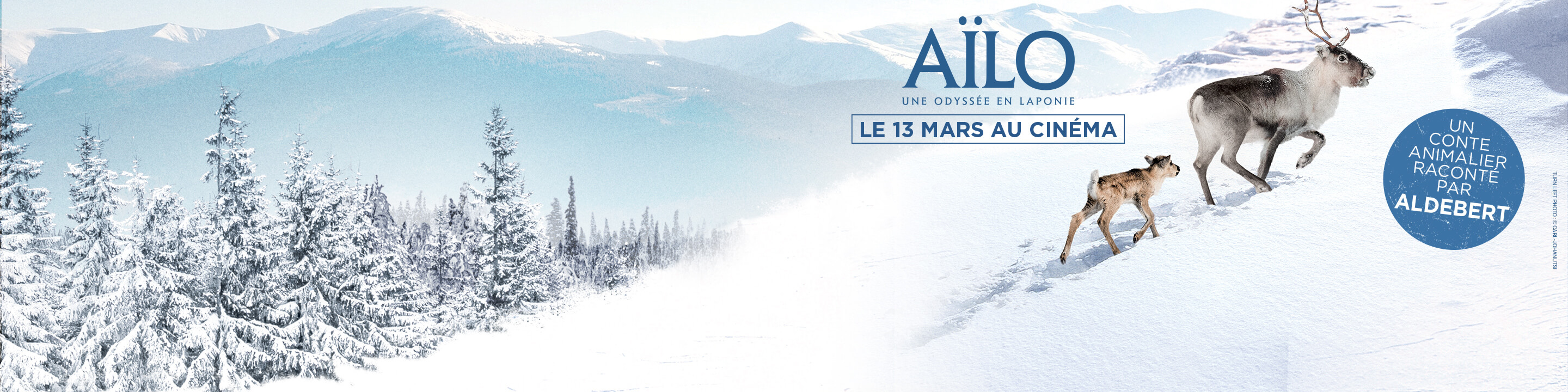 jeux concours aïlo carrefour savoirs