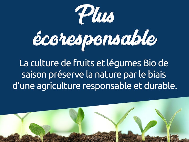 Respect de l’environnement