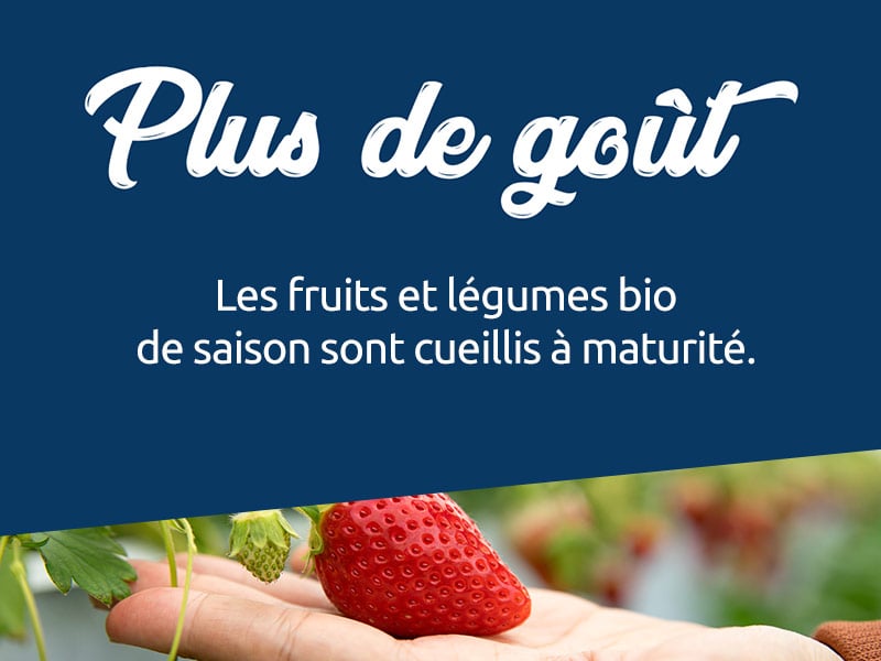 gout des légumes carrefour