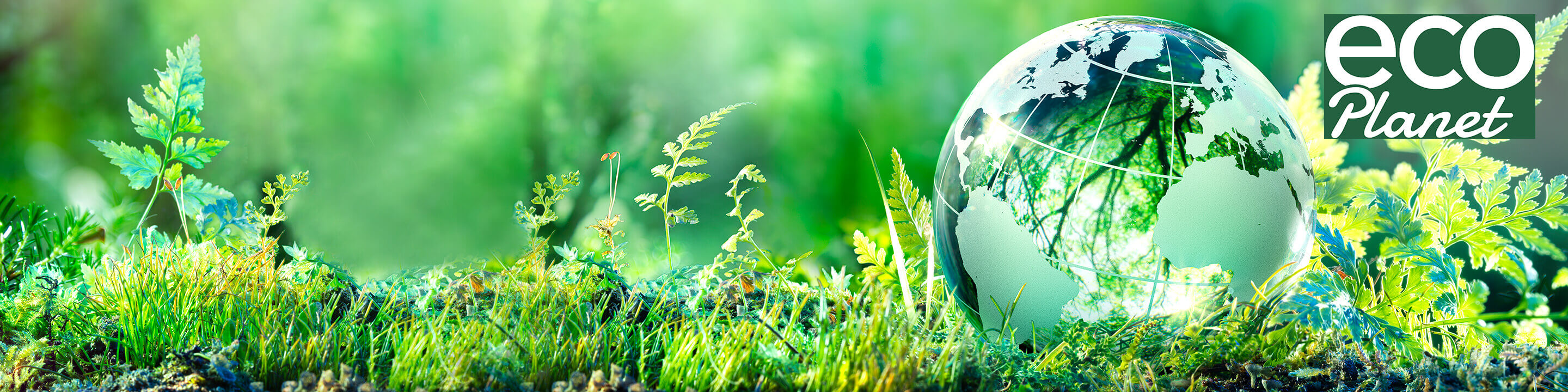 Carrefour EcoPlanet