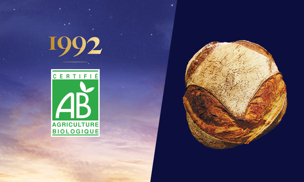 Boule Bio Carrefour