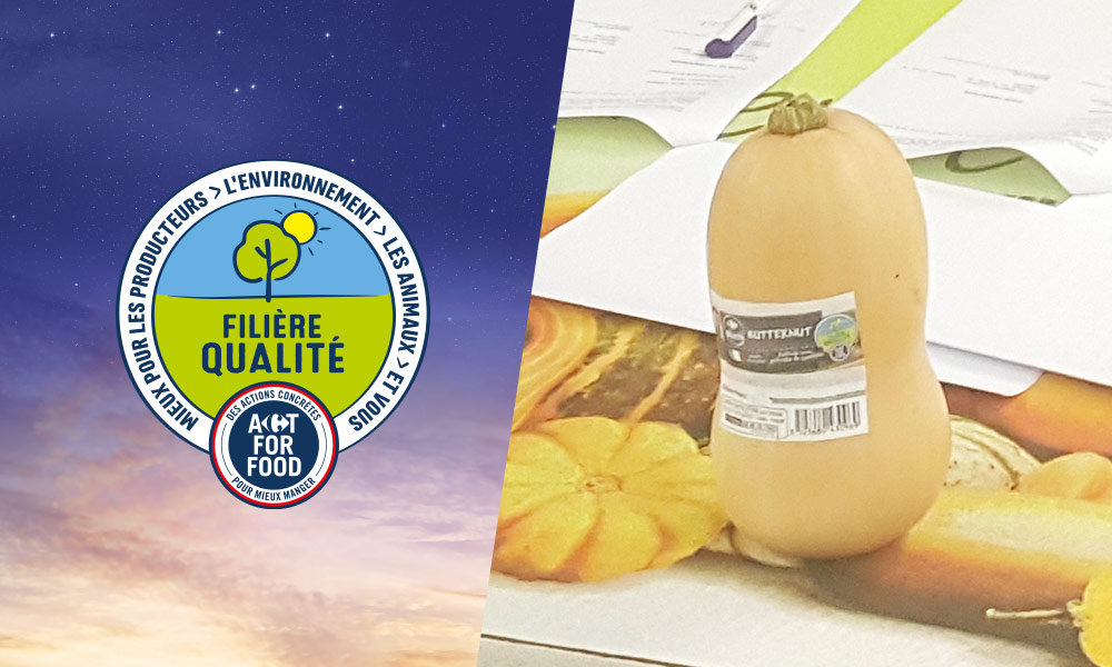 Signature de la 116e FQC : La courge