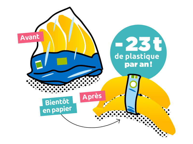 Les bananes bio-équitable