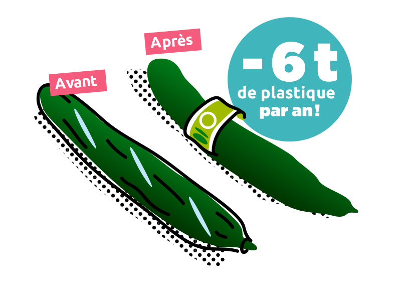 Les concombres bio