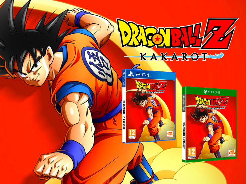 dbzk-hub_800x600_ssprix.jpg