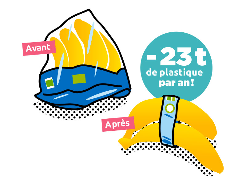 Les bananes bio-équitable