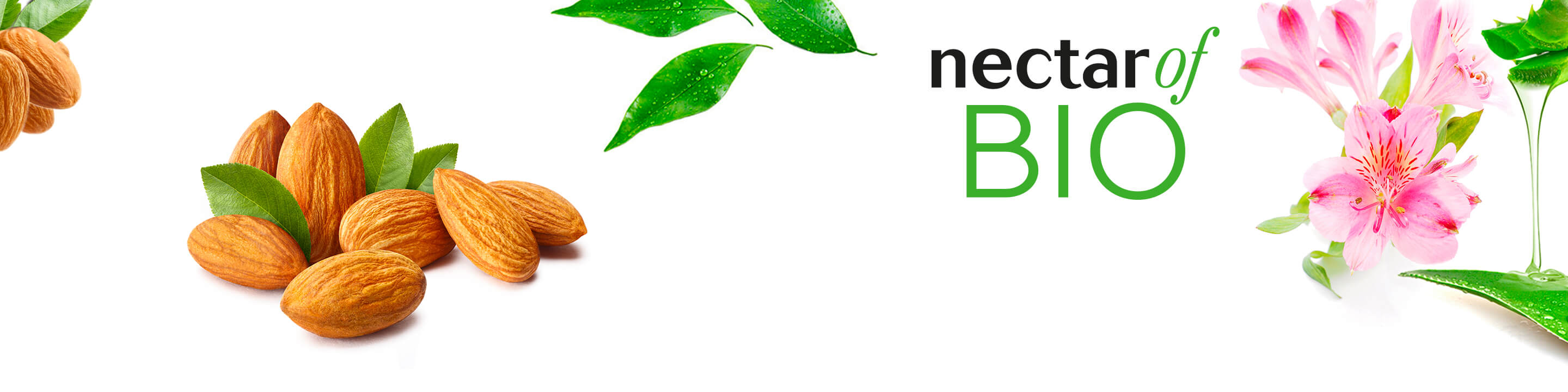Nectar of BIO