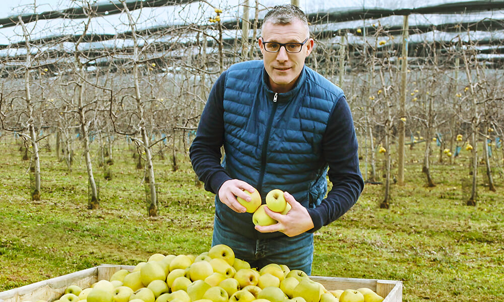 Producteur de pommes