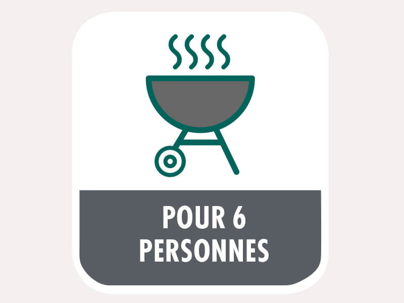 Barbecue compact Pour 6 personnes