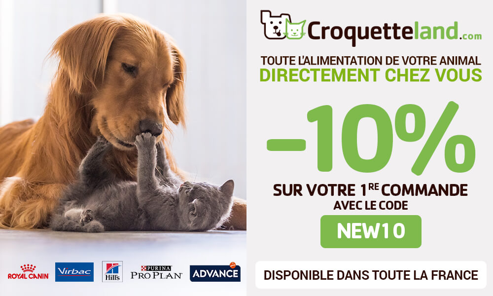 Livraison pour vos animaux