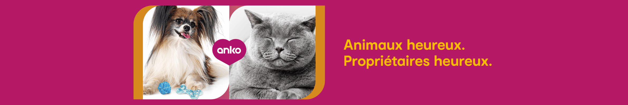 Anko - Animaux heureux