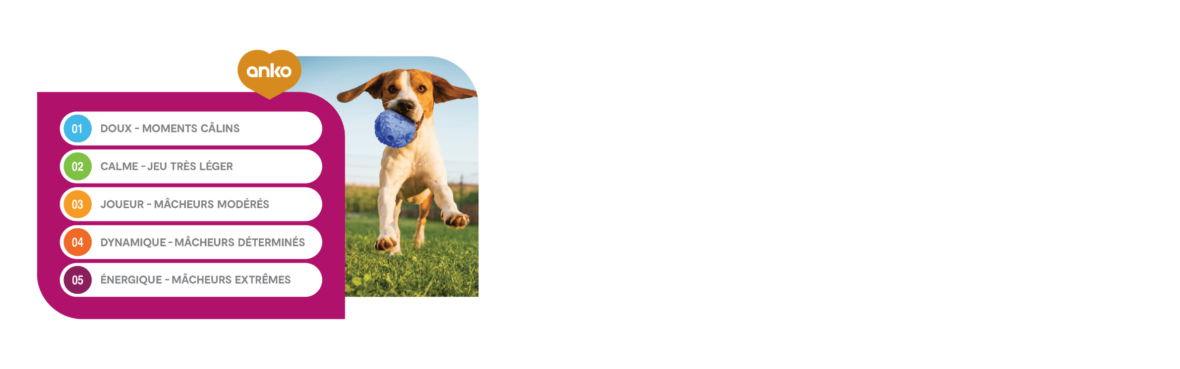 Anko - produits pour chien