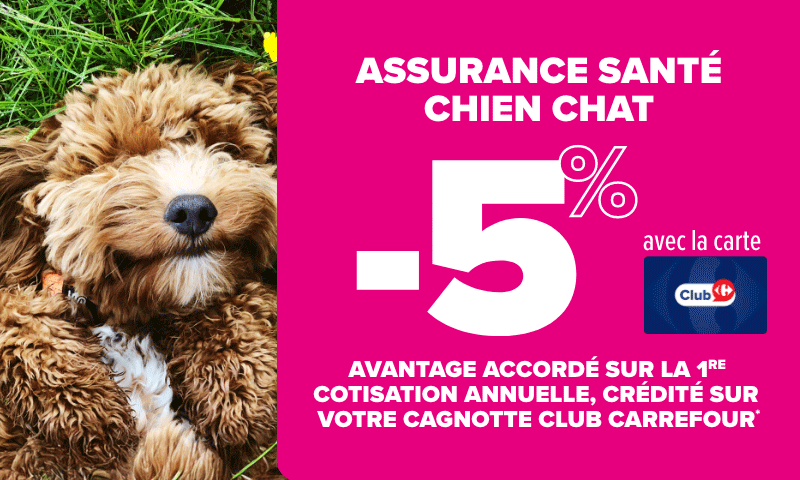 Assurance santé chiens et chats 