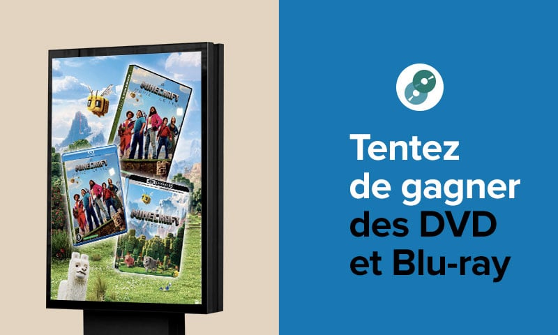 MINECRAFT, LE FILM