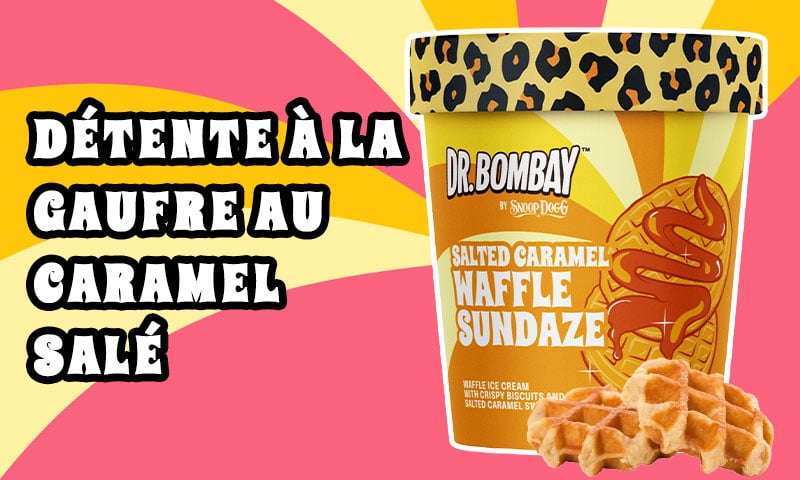 dr bombay snoop dogg