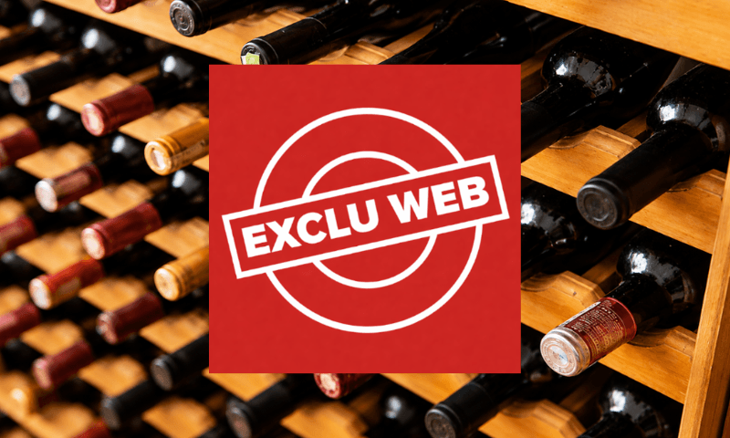 Foire aux vins Exclu Web.