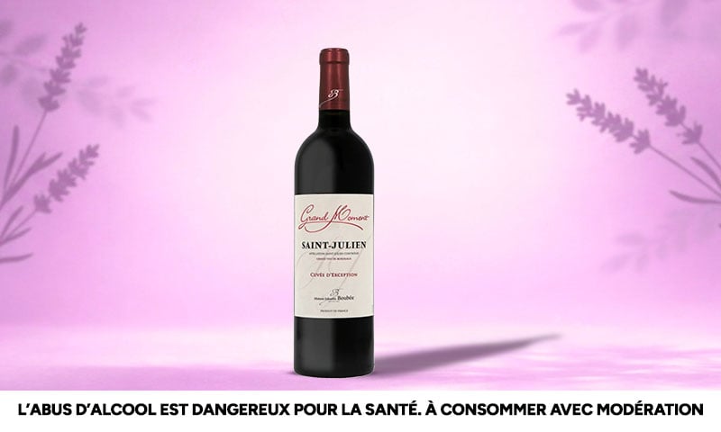 Bouteille Grand Moment "Cuvée d'Exception", 2023, A.O.P Saint-Julien, Vin Rouge
