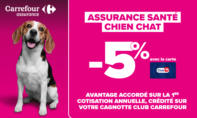 Assurance santé chien chat Carrefour Assurance avec moins 5% avec la carte.