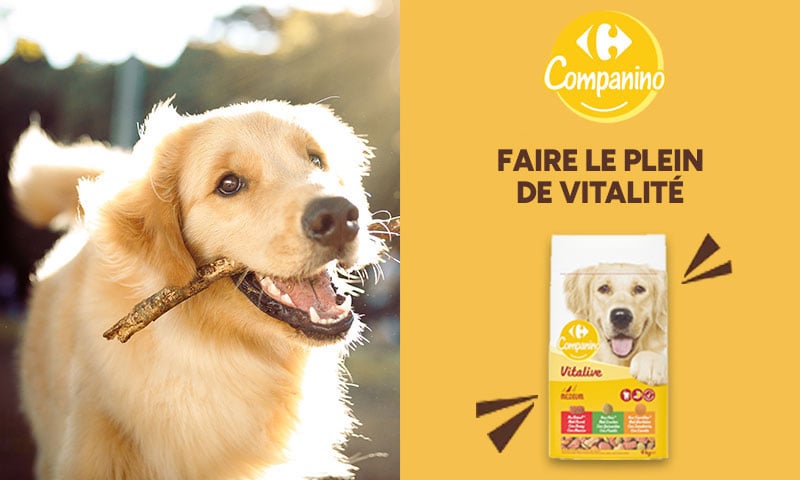 Carrefour Companino : Faire le plein de vitalité croquettes pour chien