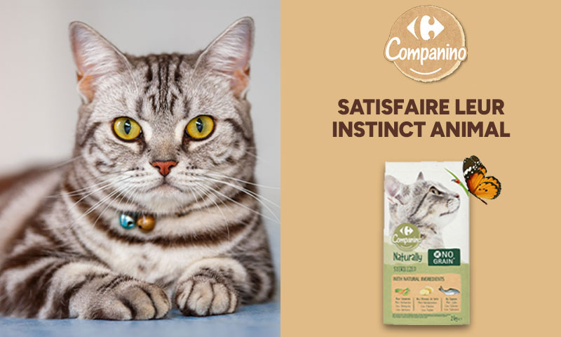 Carrefour Companino : Satisfaire leur instinct animal croquettes pour chat