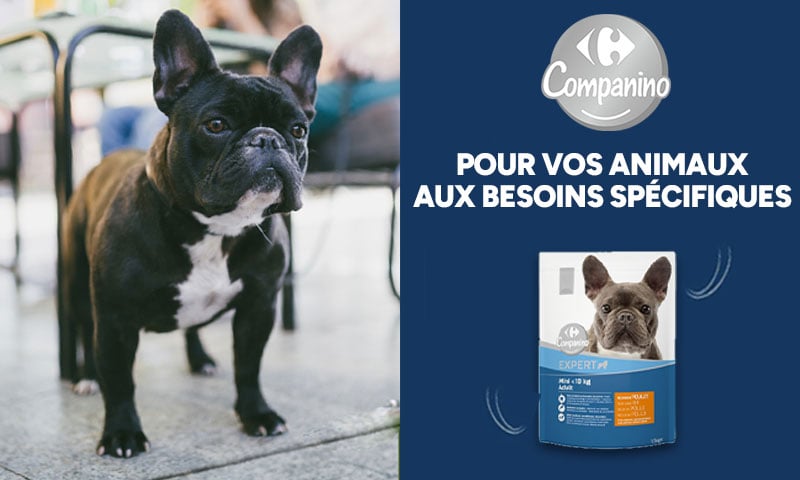 Carrefour Companino : Pour vos animaux aux besoins spécifiques croquettes chien
