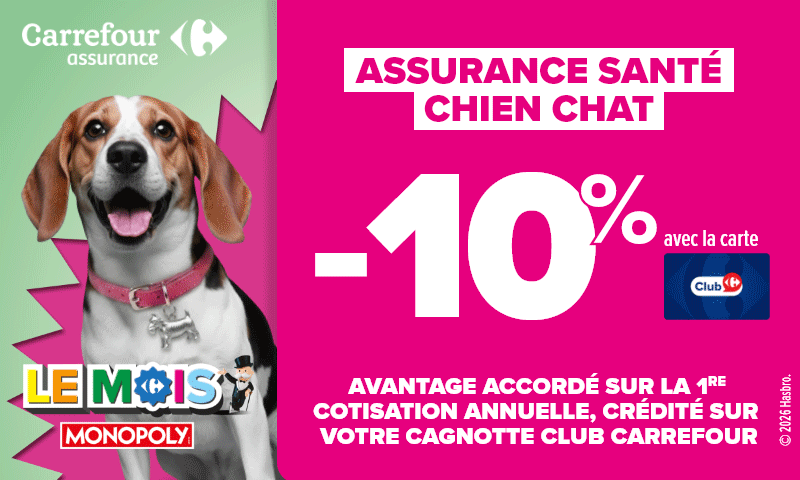 Carrefour Assurance : -10% sur l'assurance santé chien chat avec la carte Club