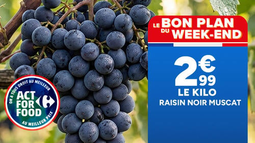 Le Bon Plan du Week-End : Raisin noir Muscat à 2,99 € le kilo. Logo Act For Food On a tous droit au meilleur au meilleur prix.