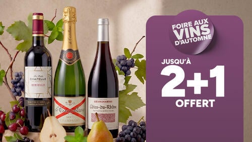 Foire aux Vins d'Automne : Jusqu'à 2+1 offert. Sélection de bouteilles : Bordeaux La Petite Chapelle, Champagne de Castellane, Côtes-du-Rhône.